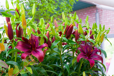 Similar image 11428528