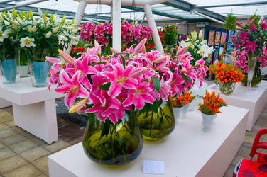 Similar image 11428538