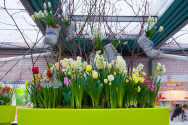 Similar image 11428540