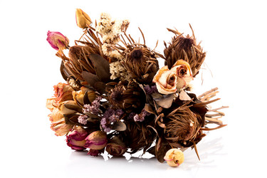 Similar image 11429119