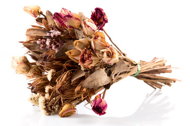 Similar image 11429120