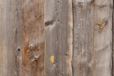 Similar image 11428961