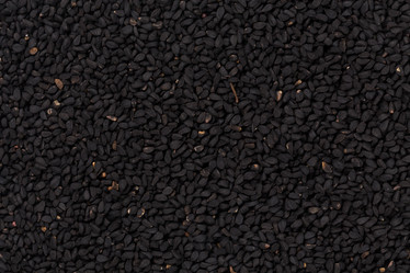 Similar image 11428970