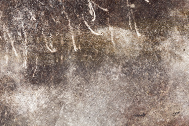 Similar image 11429060