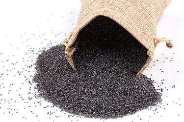 Similar image 11429084