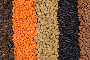 Similar image 11429100