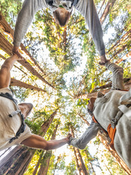 Similar image 11430855