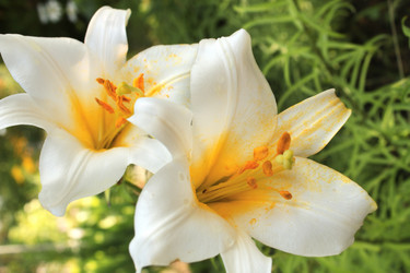 Similar image 11425174