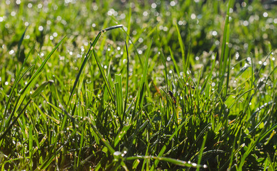 Similar image 11426533