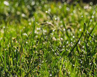 Similar image 11426534