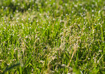 Similar image 11426535