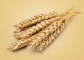 Similar image 11425265