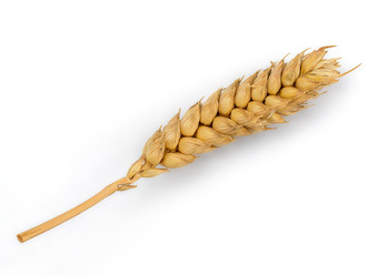 Similar image 11425269