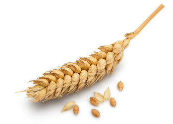 Similar image 11425283