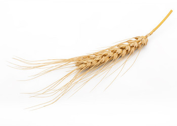 Similar image 11425284