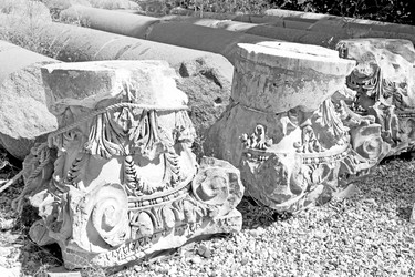 Similar image 11447192