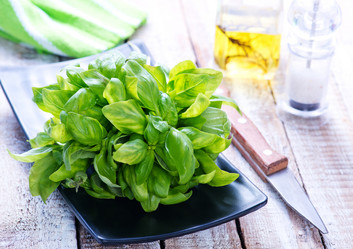 Similar image 11431369