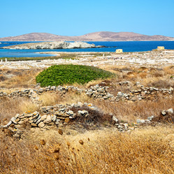 Similar image 11447092