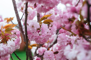 Similar image 11425047