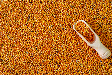 Similar image 11428638