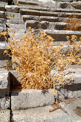 Similar image 11447217