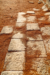 Similar image 11447219