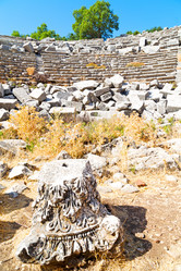 Similar image 11447241