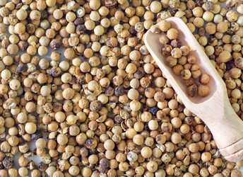 Similar image 11431394