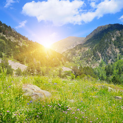 Similar image 11426655