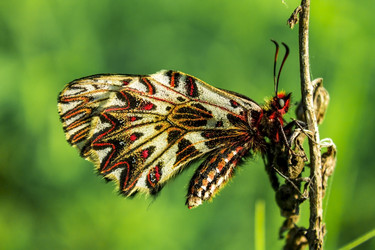 Similar image 11424855