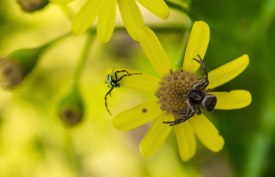 Similar image 11424856