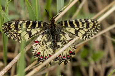 Similar image 11424857