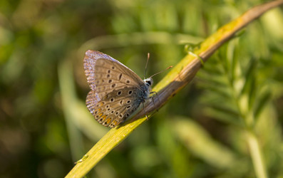 Similar image 11424858