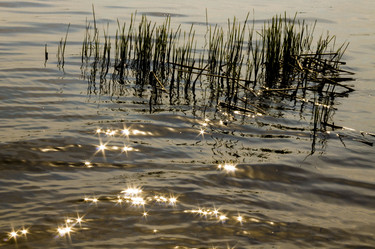 Similar image 11424859