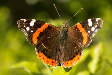 Similar image 11424860