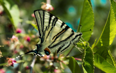 Similar image 11424861