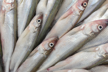 Similar image 11429309