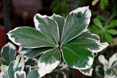 Similar image 11429352