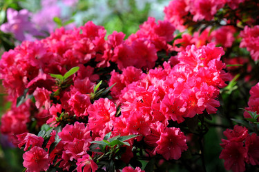 Similar image 11429406