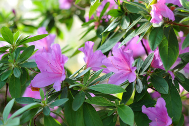 Similar image 11429411