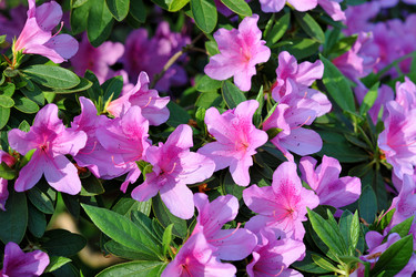 Similar image 11429412