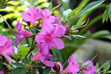 Similar image 11429414