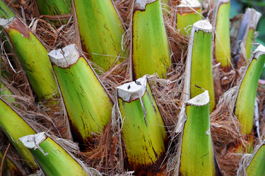 Similar image 11429415