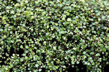 Similar image 11429417