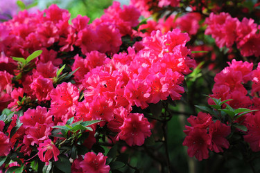 Similar image 11429421