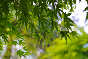 Similar image 11429442