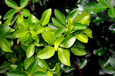 Similar image 11429452