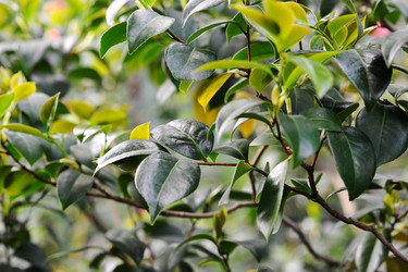 Similar image 11429453