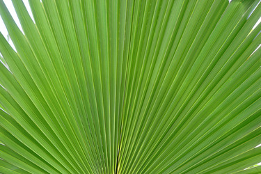 Similar image 11429454