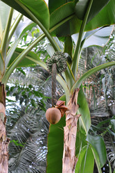 Similar image 11429425